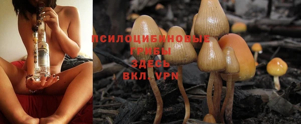 твердый Нязепетровск