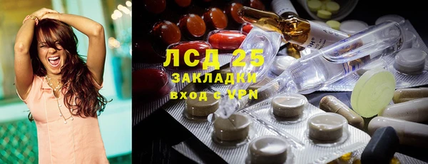 хмурый Арсеньев