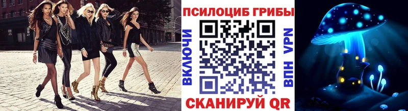 Купить где  Бирск  Псилоцибиновые грибы GOLDEN TEACHER 