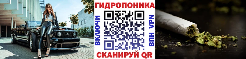 Купить где  Бирск  МАРИХУАНА THC 21% 